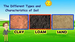 SCIENCE 4 Types Of Soil And Its Characteristics 