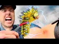 STUNG by an Electric Caterpillar