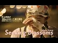 Download Lagu 【奥信濃100】Seeking Blossoms~100kmを走って見えた景色~