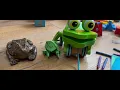 Novo Amor 565 Fund - Frog by Lara Genovese and Simon Brann Thorpe (BTS)