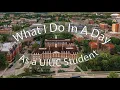 What I Do in a Day as a UIUC Student