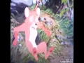 Download Lagu Fox And The Hound 1981 FOX PORCUPINE