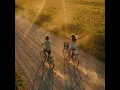 Go on a bicycle trip