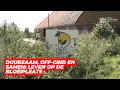 Download Lagu Duurzaam, off-grid en samen: Leven op de Bloeipleats