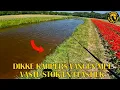 Download Lagu Dikke Karpers vangen met vaste stok en elastiek. FishVlog #139.