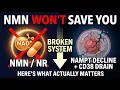 Why NMN and NR Won t Stop You From Aging The NAMPT Truth No One Talks About