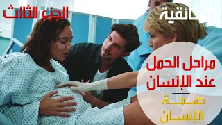 صحة الإنسان | مراحل الحمل عند الإنسان - الجزء الثالث