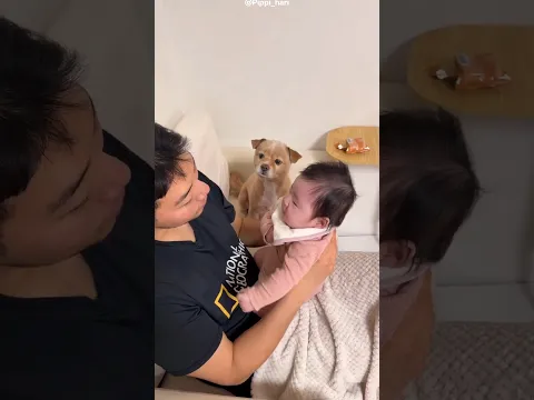 This Puppy Missed His Mom 🥹 #bts