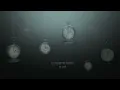 Taylor Swift - Last Kiss (Taylor's Version) (Lyric Video)