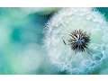 Download Lagu Ahmed Saeed Al-Omrany | Adhan (Call To Prayer) | Dhuhr, Asr, Maghrib, Isha | أحمد سعيد العمراني