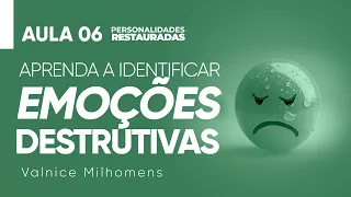Personalidades Restauradas - Aula 06 - Valnice Milhomens