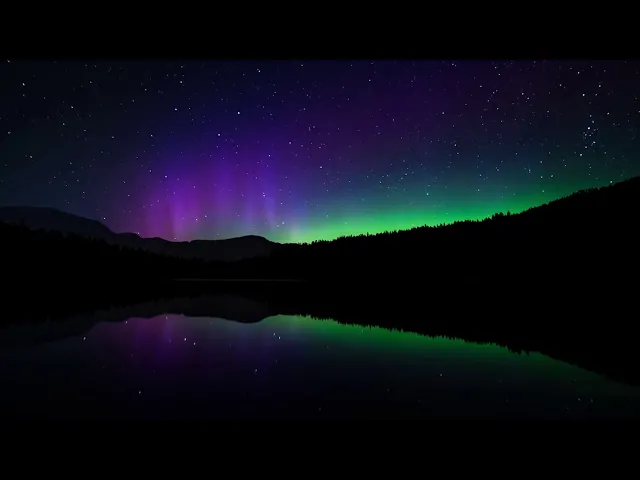 ⁣الإمام هو نور القلب المظلم- الشيخ شفيق جرادي