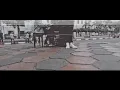 SHINE - THE OLD YOU