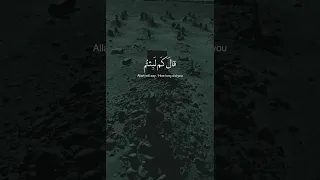    قال كم لبثتم في الأرض عدد سنين   قالوا لبثنا يوما  أو بعض يوم    ادعية  اكسبلور  تلاوات       دندنها