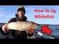 Jigging Whitefish and Lake Trout in Northern Wisconsin
