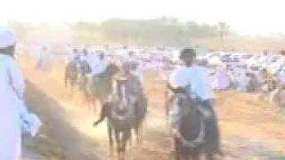 فن محورب الخيل  من فنون التقليدية المرتبطة بالخيل في سلطنة عمان  دندنها