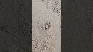 Camping in Croc Country 🐊