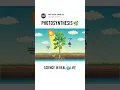 Photosynthesis Explain in 3D Animation Photosynthesis Kaise Hota Hai