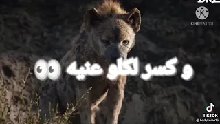 اسد وضبع وديب نزلين لبعض فى جول  شعبيات دندنها