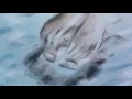 Download Lagu Mac Demarco - Moonlight On The River (Music Video)