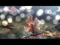 Download Lagu Đừng Để Thời Gian Bên Nhau Là Thói Quen /AMV-Tâm Trạng .