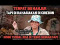 Download Lagu FULL KISAH NYATA PERJALANAN PESUGIHAN ABAH IKIN SAMPE KAYA, DISINI TUMBAL BISA DI GANTI DENGAN SAPI