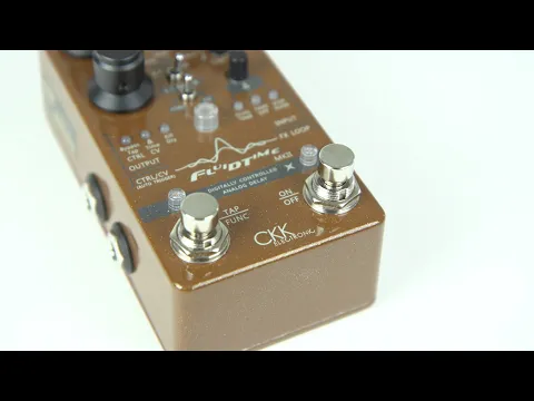 CKK Electronic Fluid Time MKII Analog Delay | Delicious Audio
