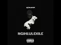 NGIHLULEKILE