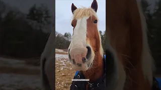 Got A Birthday Boop From Clancy 