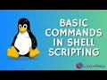 A view of Basic commands creation of script file and creation of cron job in Shell Scripting