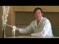 What is a total knee replacement