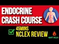 Endocrine NCLEX Review Diabetes DKA vs HHS DI vs SIADH Thyroid Disorders Crash Course