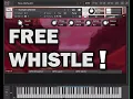 Download Lagu Free Kontakt Instrument - Human Whistle