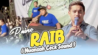 raib bunga desa paino mc nuansah ceck sound penyu music version cover