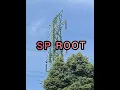 Download Lagu SP DATUK GAUL KING ROOT