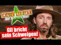 Lagu Dschungelcamp 2026: GIL OFARIM BRICHT SEIN SCHWEIGEN!