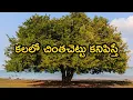 Download Lagu Kalalo Chinthachettu Kanipisthe | Tamarind Tree In Dreams | Kalalu Phalithalu | Laxmi Devotional