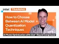 How to Choose AI Model Quantization Techniques AI Model Optimization with Intel Neural Compressor