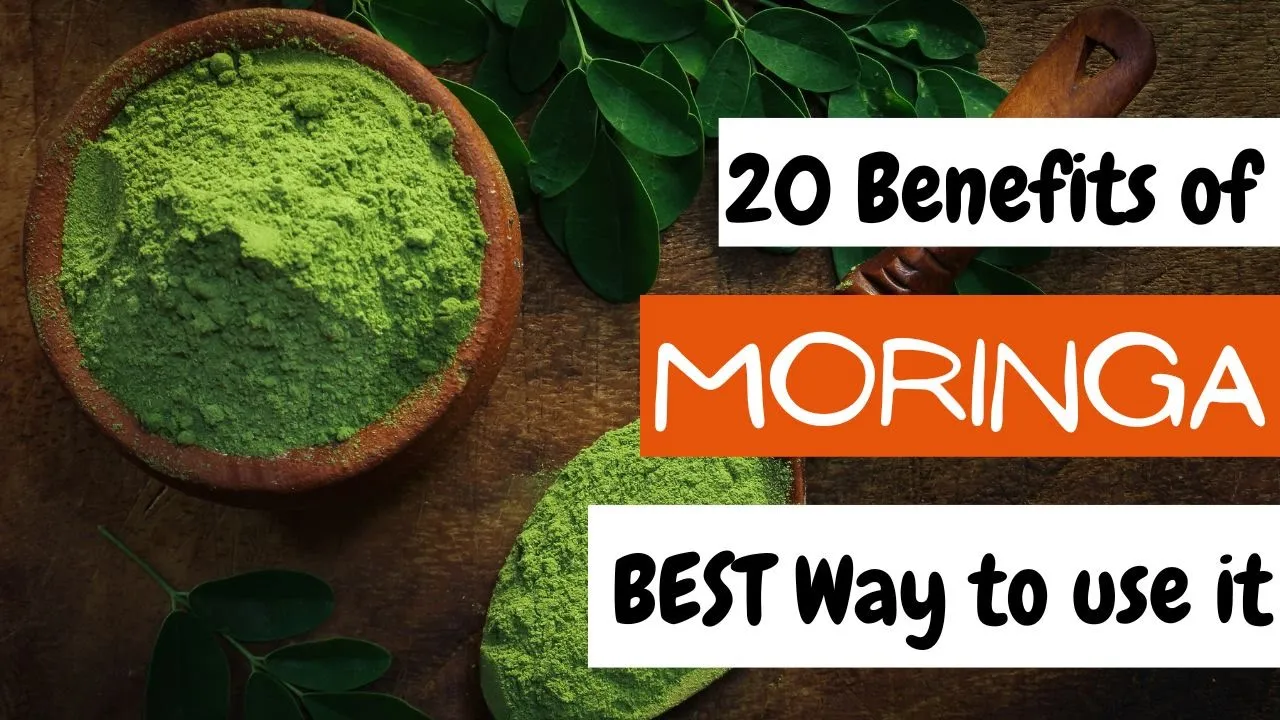 20 Moringa Powder Benefits AND How To Use It