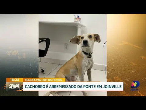 Ato de crueldade: mulher joga cachorro de ponte em Joinville na frente dos filhos