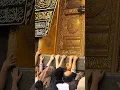 Download Lagu qalbi Fil Madina ❤️❤️#shorts #shortsviral #makkah #islamicshorts