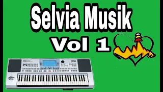 selvia musik vol 1 remix lampung