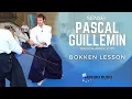 Download Lagu Pascal Guillemin: seminar in Brescia '23 - Bokken lesson