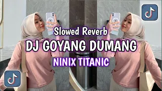 Download DJ Goyang Dumang x Aku Gemoy x Ninix Titanic Slowed Reverb Breakfunk Dj Viral Tiktok 2024 MP3