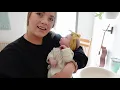 DAY IN THE LIFE WITH A NEWBORN! | 2 Week Old Baby + First Time Mom