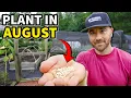 5 Crops You ll Hate NOT Planting in August
