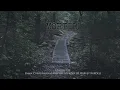 Episode 733 Emma Cunningham and the Murder of Harvey Burdell