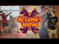 De Lama's: Abunai! Editie 2025 - Volledige Show!