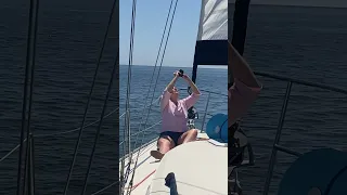 Work or play? #secondhandsailors #sailinglife #sailing #svdaisymae
