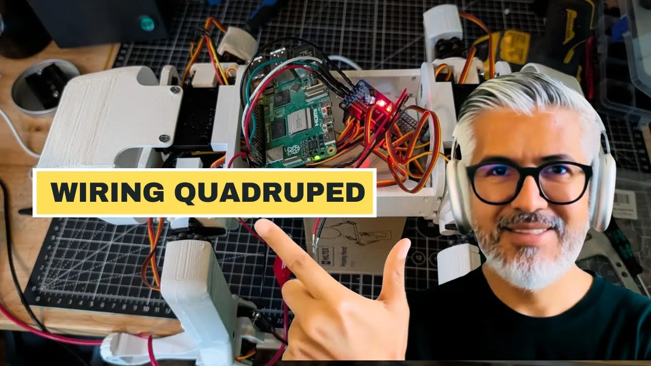 Wiring Quadruped - The first Dawg D1 :)